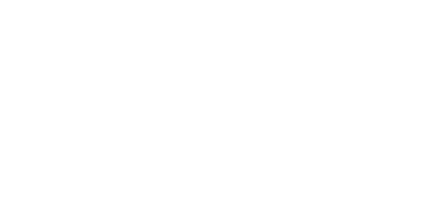 TDS-white logo TDS Logo